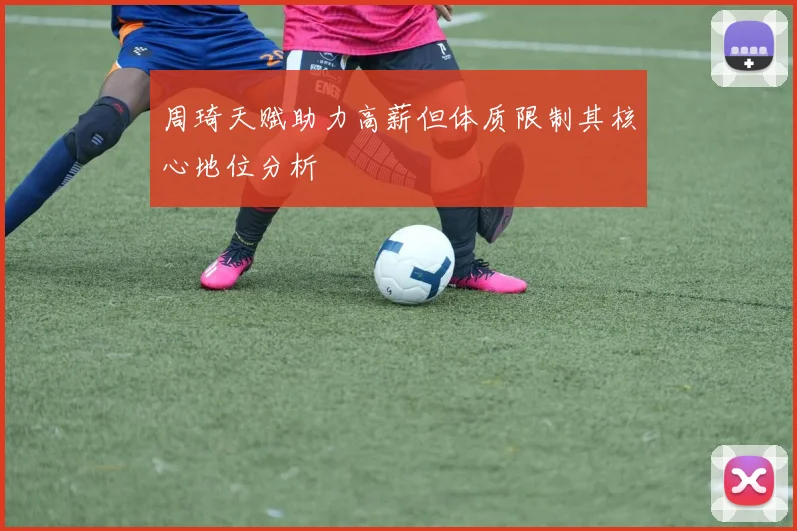 周琦天赋助力高薪但体质限制其核心地位分析